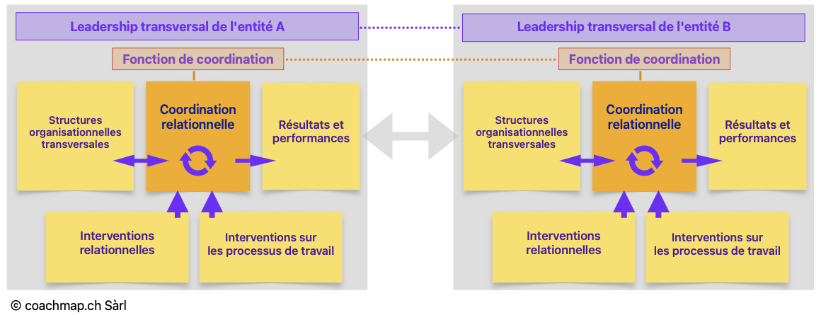 Leadership transversal